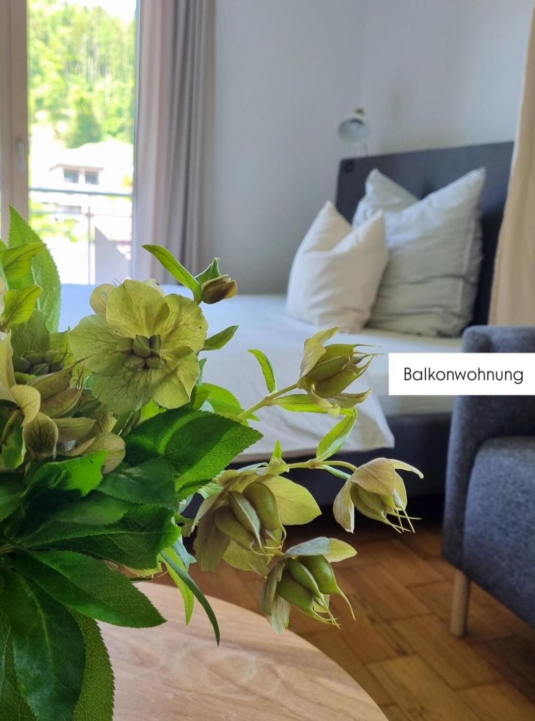 Ferienwohnung Tostner Burgblick Фельдкирьх Экстерьер фото